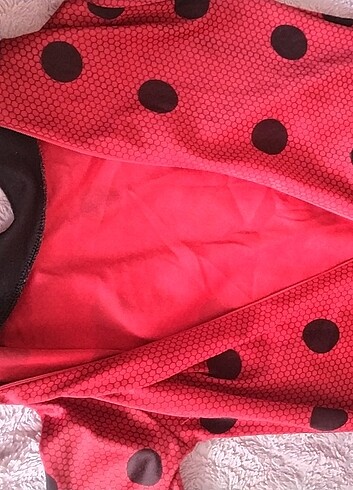 6 Yaş Beden kırmızı Renk Uğur böceği kostümü 