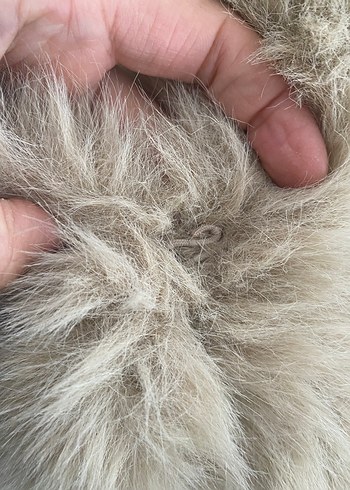 Bej Kadın Suni Kürk Kaban - Görsel 8