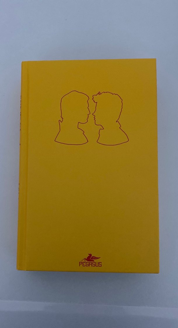 Asla Vazgeçme - Rainbow Rowell - Görsel 3