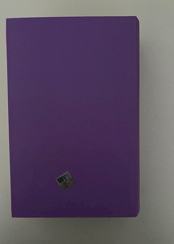 Jane Eyre Romanı - Charlotte Bronte - Görsel 2