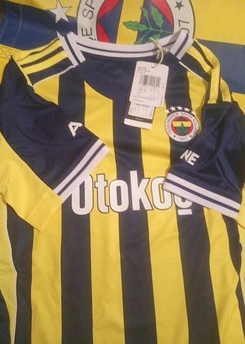 Fenerbahçe m