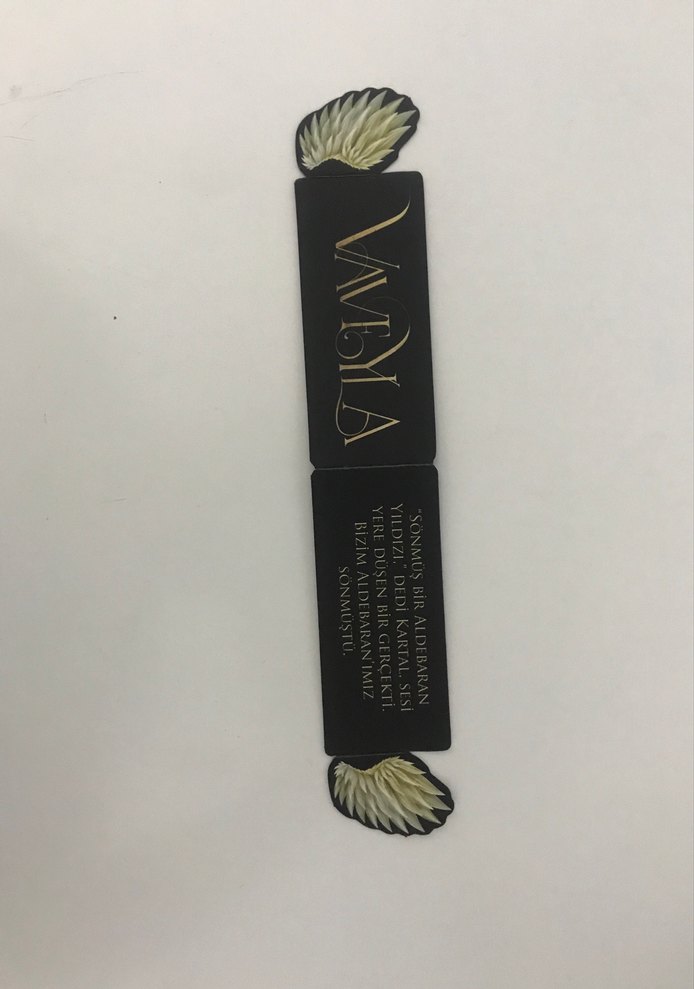 Binnur Şafak Niğiz - Vavelya Romanı - Görsel 2