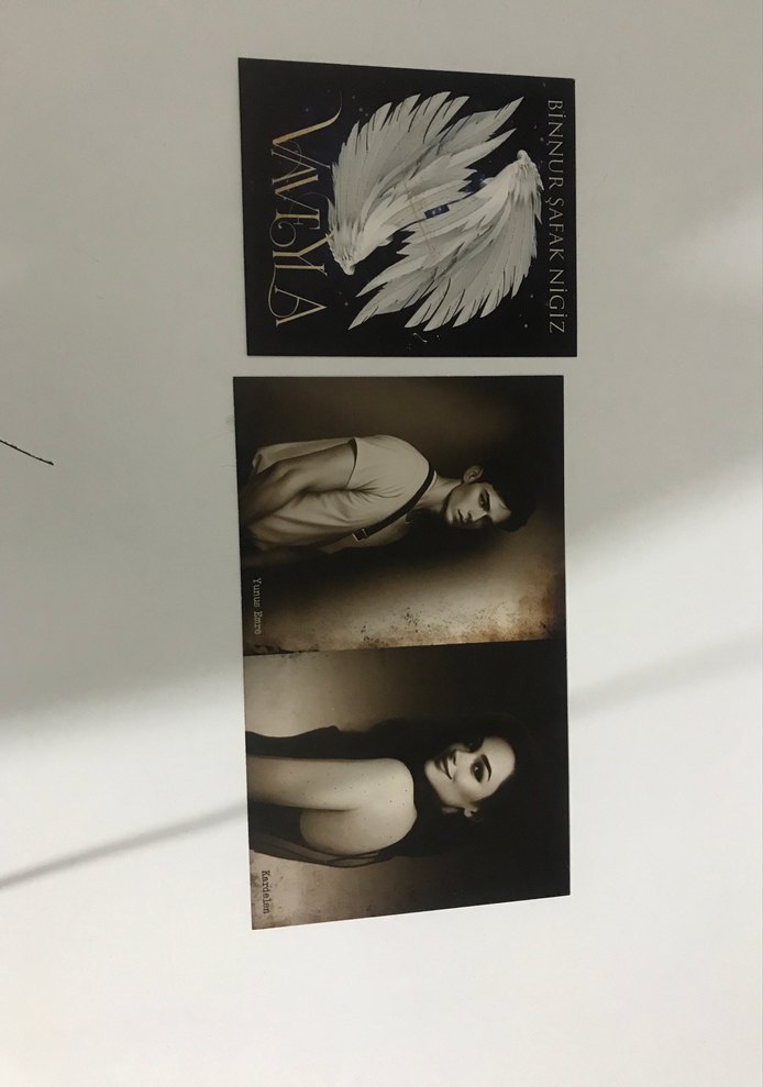 Binnur Şafak Nigiz - Vaveyla Roman - Görsel 5