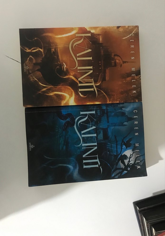 Kalıntı Roman Seti - Ceren Melek - Görsel 2