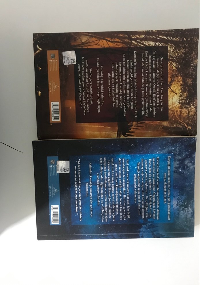 Kalıntı Roman Seti - Ceren Melek - Görsel 4