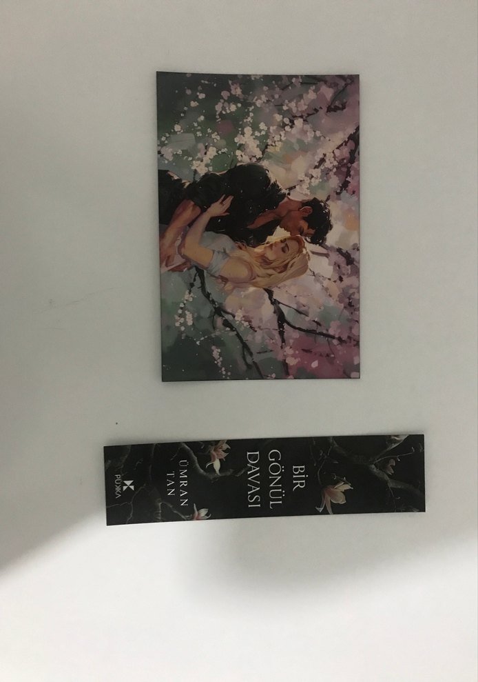 Bir Gönül Davası - Ömran Tan - Görsel 3