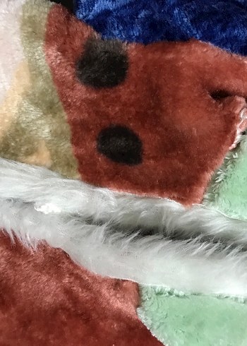 Erkek Çocuk Renkli Kapüşonlu Kürklü Mont - Görsel 2