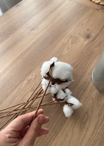 Beyaz Pamuk Dalı Ev Dekoru - Görsel 2