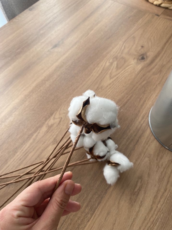 Beyaz Pamuk Dalı Ev Dekoru - Görsel 2