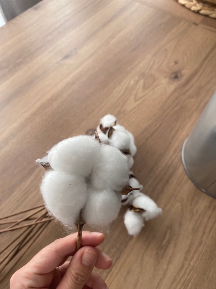 Beyaz Pamuk Dalı Ev Dekoru - Görsel 5