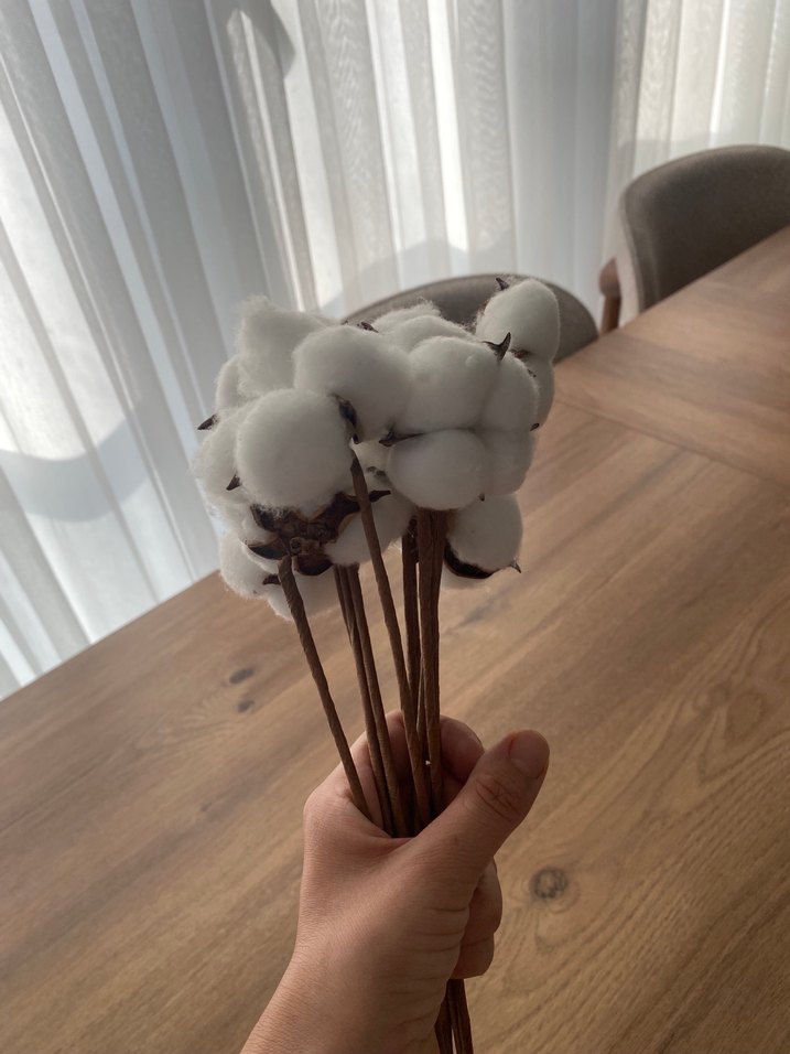 Beyaz Pamuk Dalı Ev Dekoru - Görsel 4