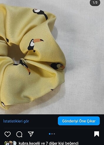 Tasarımcı Tukan kuşlu toka