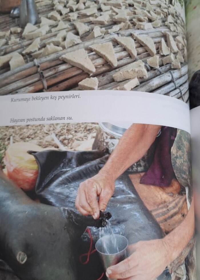 Rotasız Seyyah 2 (CİLTLİ) - Görsel 3