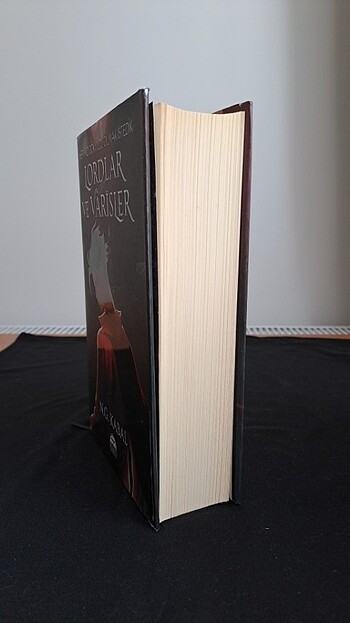 Lordlar ve varisler 1 (CİLTLİ) - Görsel 2