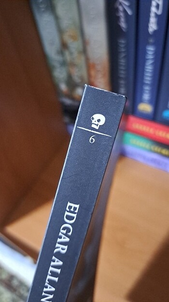 Edgar Allan Poe-KORKU TEMALI KİTAP (CİLTSİZ) - Görsel 2