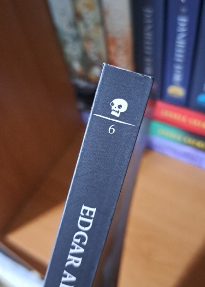 Edgar Allan Poe-KORKU TEMALI KİTAP (CİLTSİZ) - Görsel 2