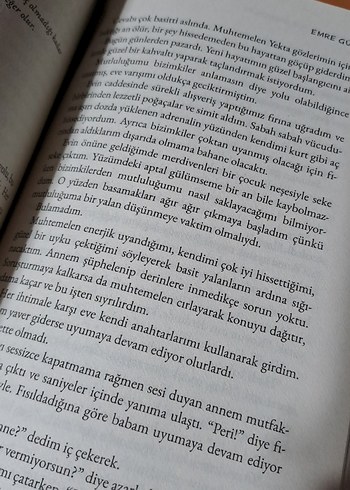 Emre Gül - Yalancılar ve Yabancılar Seti - Görsel 2