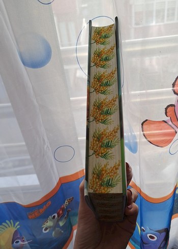 Bir Mimoza Masalı - Mimaliza - Görsel 2