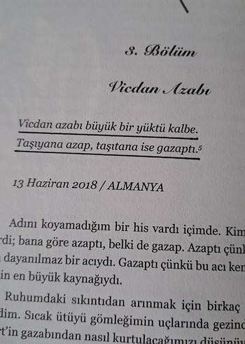 Bir Mimoza Masalı - Mimaliza - Görsel 5