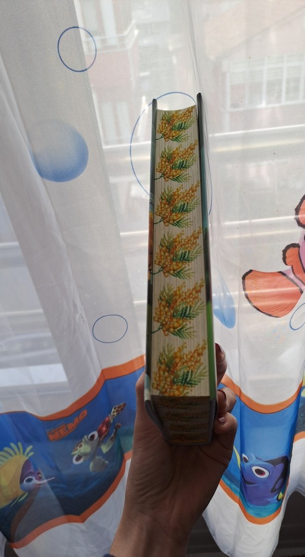 Bir Mimoza Masalı - Mimaliza - Görsel 2