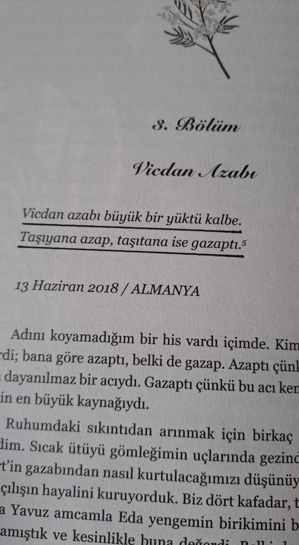 Bir Mimoza Masalı - Mimaliza - Görsel 5