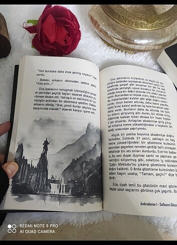  Aandrodemia kitap 