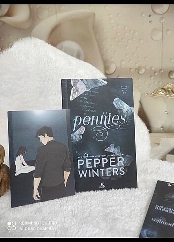 Dollars serisi birinci kitap Pennies 