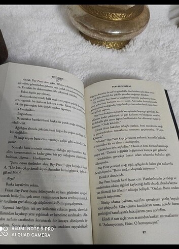  Dollars serisi birinci kitap Pennies 