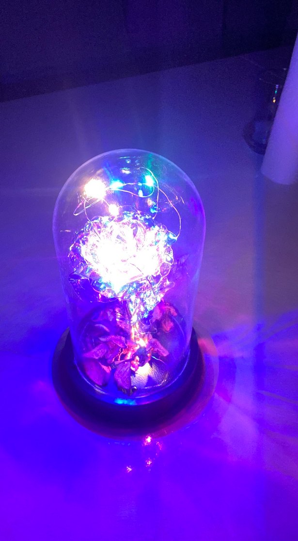 Renkli Işıklı Cam Fanus Gül Dekorasyonu - Görsel 3