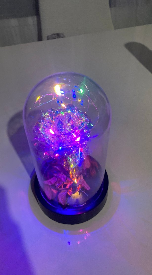 Renkli Işıklı Cam Fanus Gül Dekorasyonu - Görsel 4