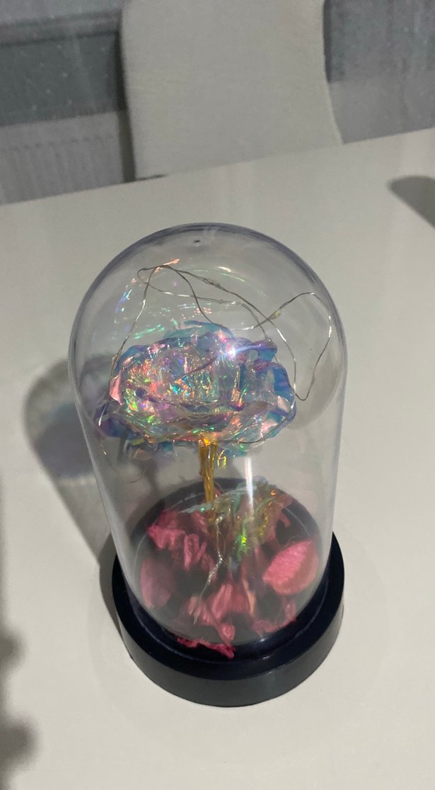 Renkli Işıklı Cam Fanus Gül Dekorasyonu - Görsel 2