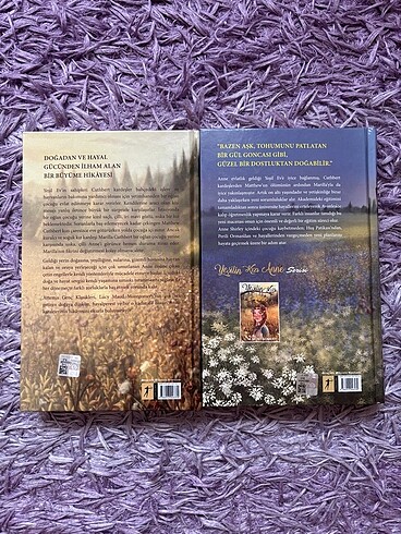 Yeşilin kızı Anne - Görsel 2