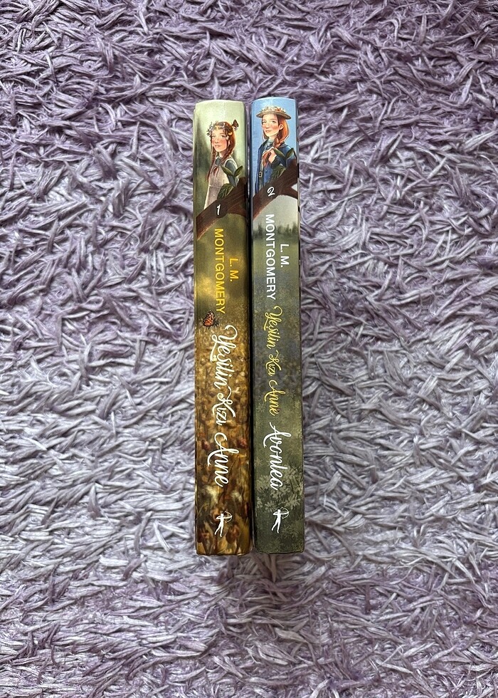 Yeşilin kızı Anne - Görsel 3