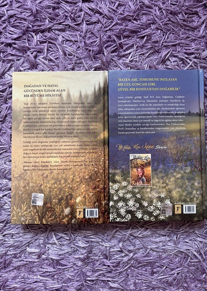 Yeşilin kızı Anne - Görsel 2