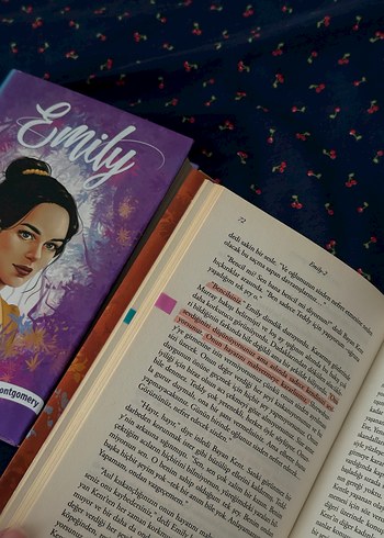 Emily Serisi Roman Seti CİLTLİ