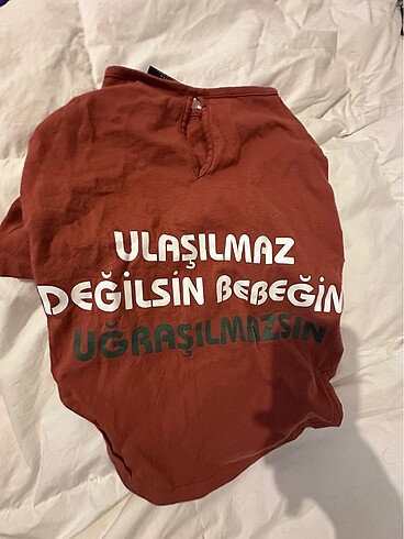 Kopek kiyafet