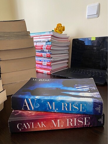 M.rıse av ve çaylak kitabı
