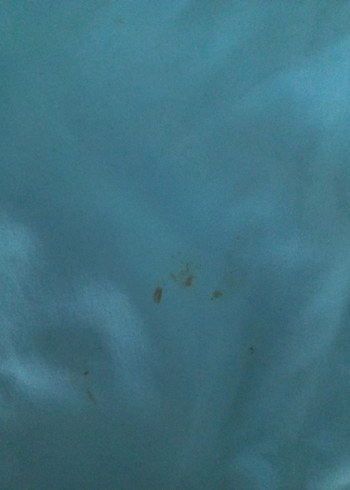 Erkek Çocuk Renkli Bağcıklı Deniz Şortu LCW - Görsel 5