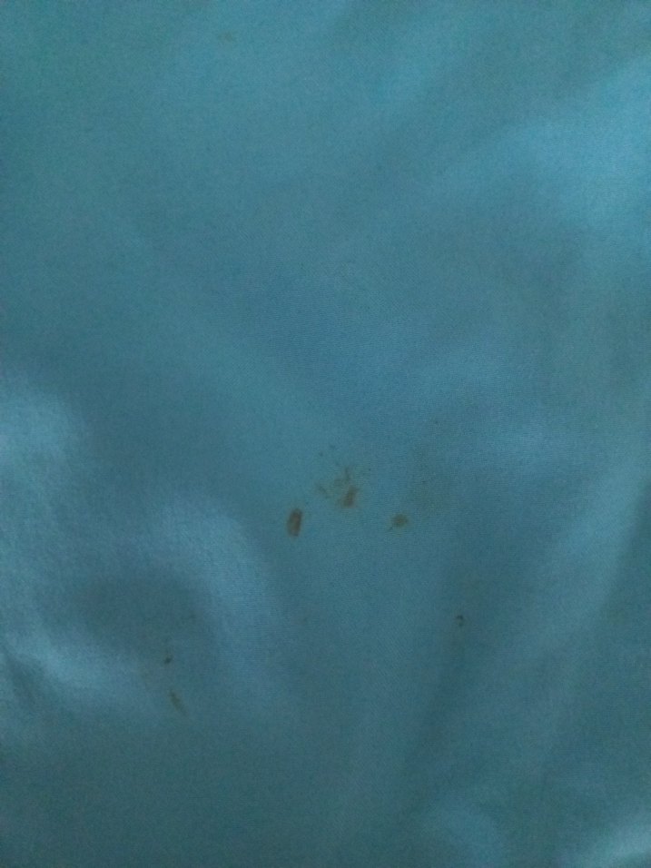 Erkek Çocuk Renkli Bağcıklı Deniz Şortu LCW - Görsel 5