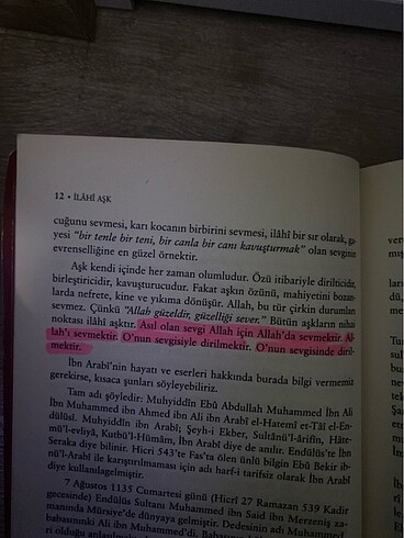 Muhyiddin İbn Arabi - İlahi Aşk