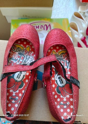 Walt Disney World 26