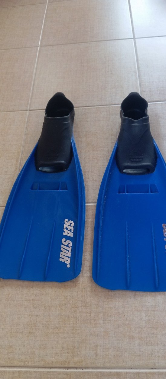 sea star dalis paleti 38 39 - Görsel 2