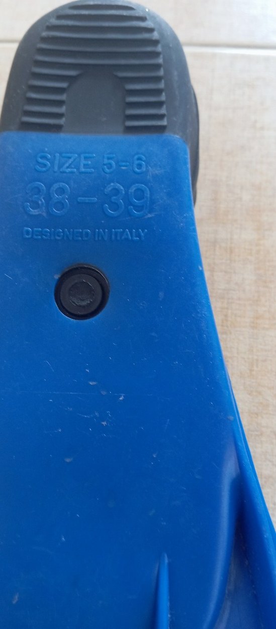 sea star dalis paleti 38 39 - Görsel 5