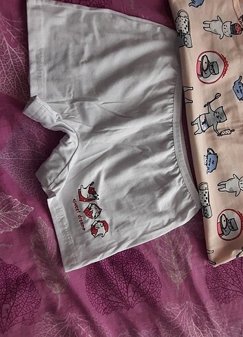 ikili takım - Görsel 2