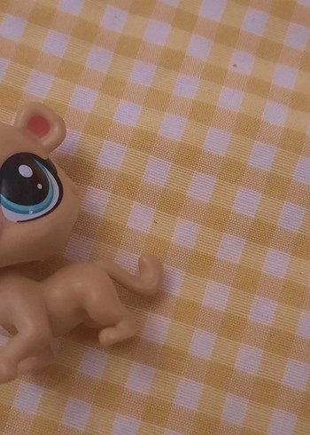 little petshop miniş - Görsel 2