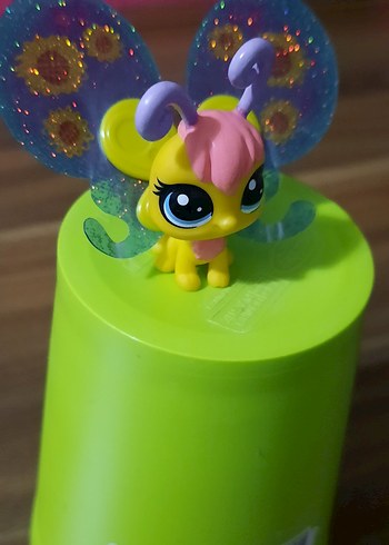 Kelebek miniş - Görsel 2