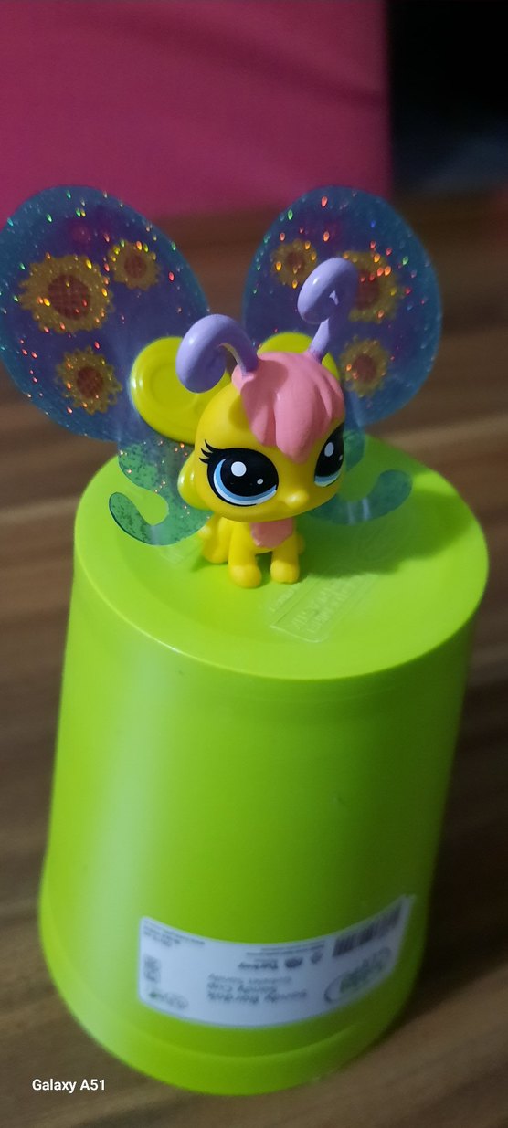 Kelebek miniş - Görsel 2