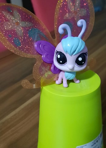 Kelebek Miniş - Görsel 5