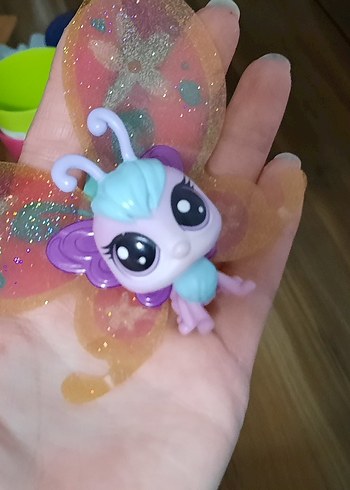 Kelebek Miniş - Görsel 7