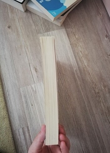 Beden Renk Samed Behrengi 'nin bütün öyküleri